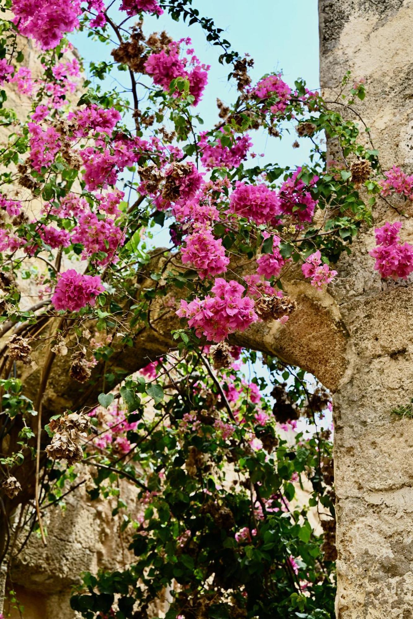 Penelope Garden House Old Town Διαμέρισμα Rhodes City Εξωτερικό φωτογραφία
