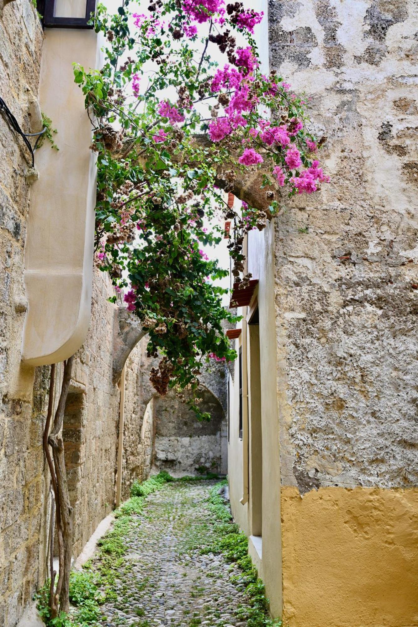 Penelope Garden House Old Town Διαμέρισμα Rhodes City Εξωτερικό φωτογραφία